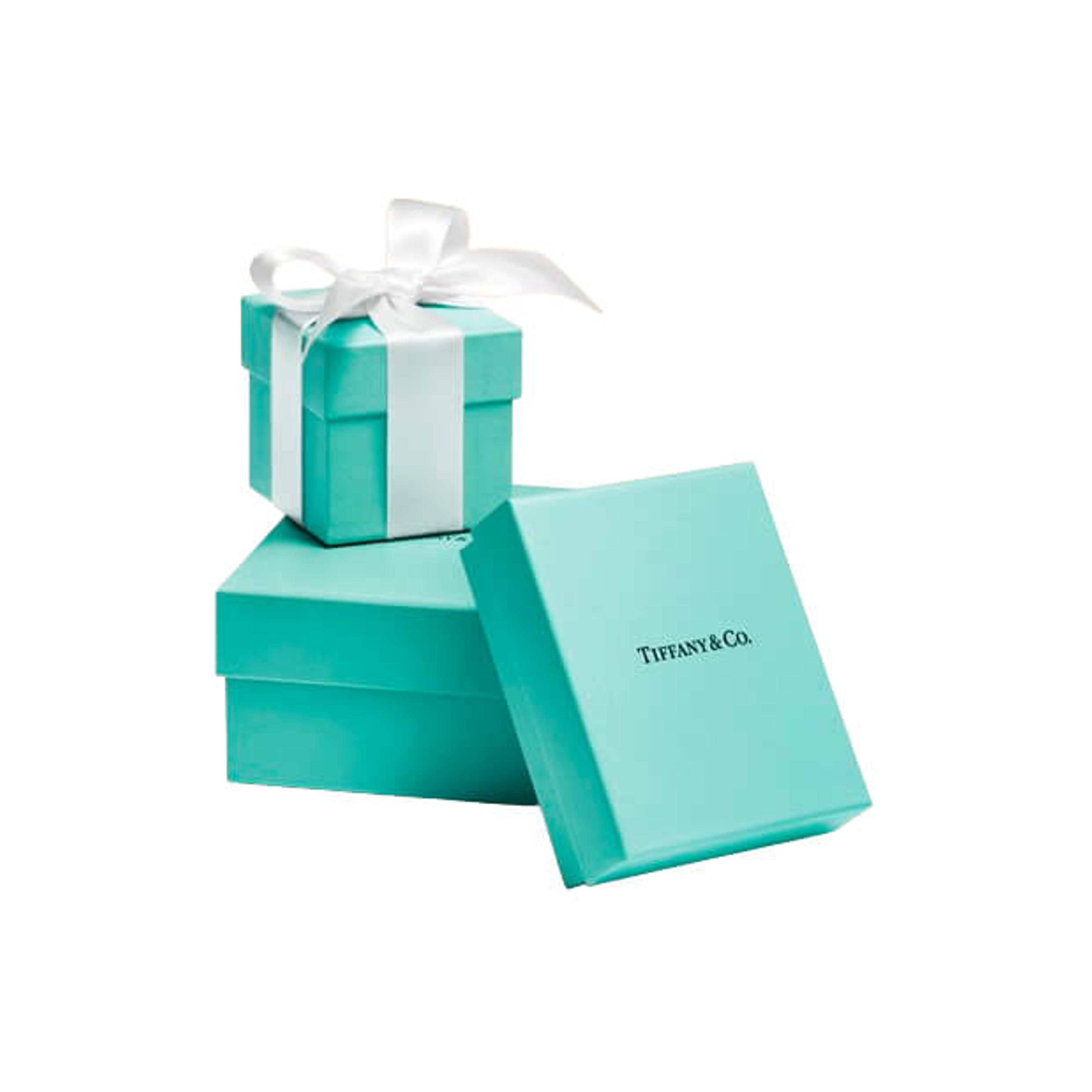 Tiffany & Co 1837 Blue boxes on white background background