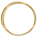 Gold circle logo filler image